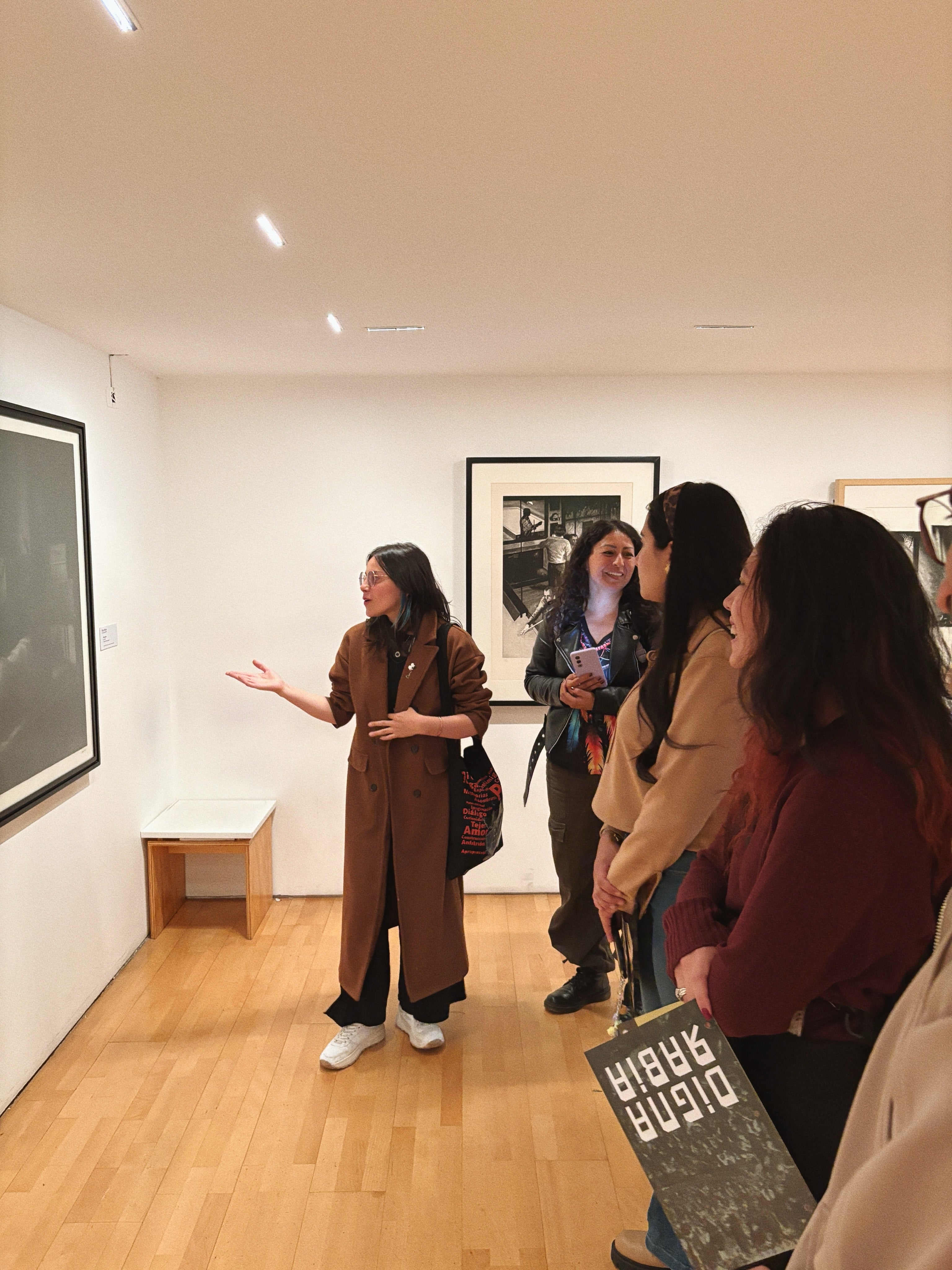 Historia del arte latinoamericano: un curso que se camina